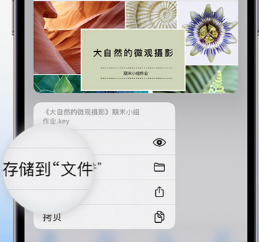 康乐apple维修中心分享iPhone文件应用中存储和找到下载文件