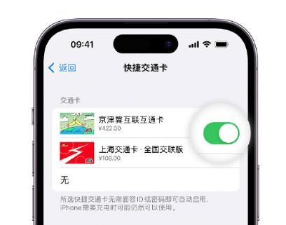 康乐apple维修点分享iPhone上更换Apple Pay快捷交通卡手绘卡面 