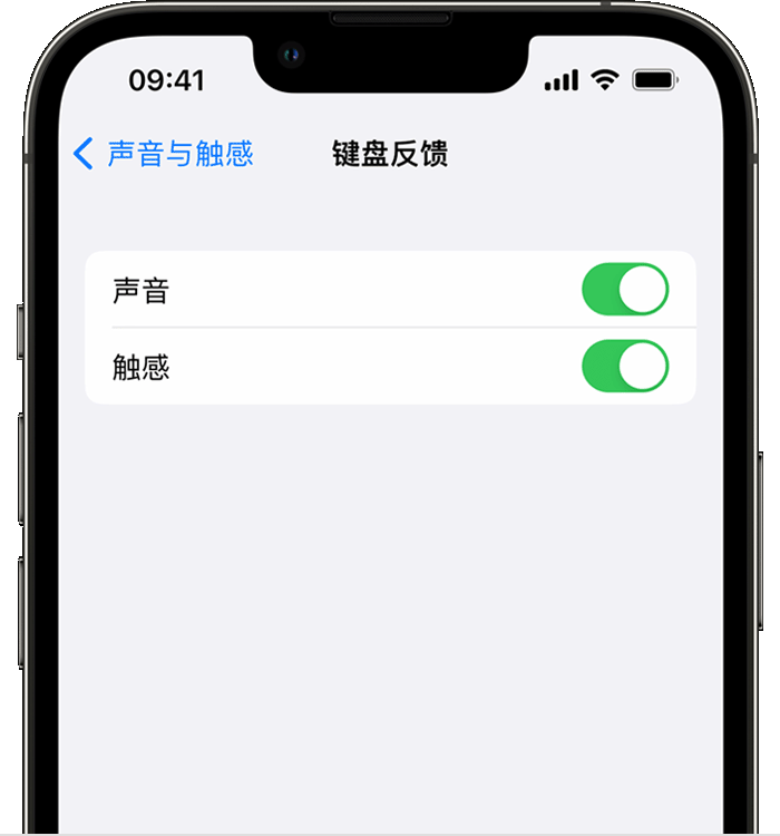 康乐苹果14维修店分享如何在 iPhone 14 机型中使用触感键盘 