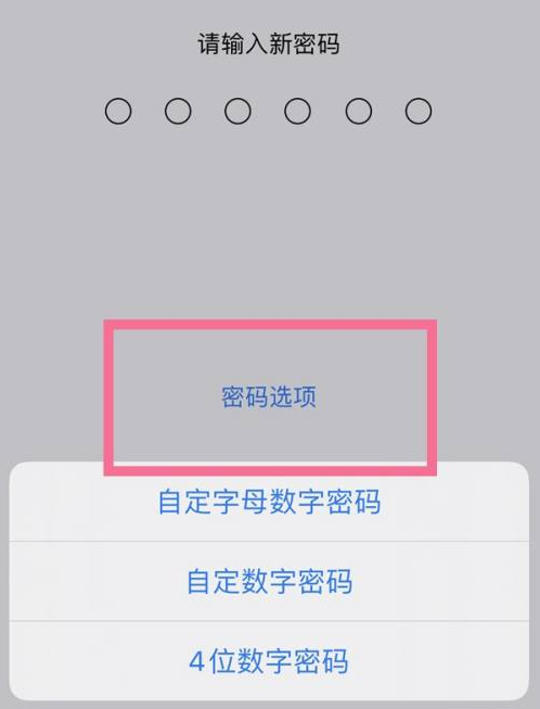 康乐苹果14维修分享iPhone 14plus设置密码的方法 