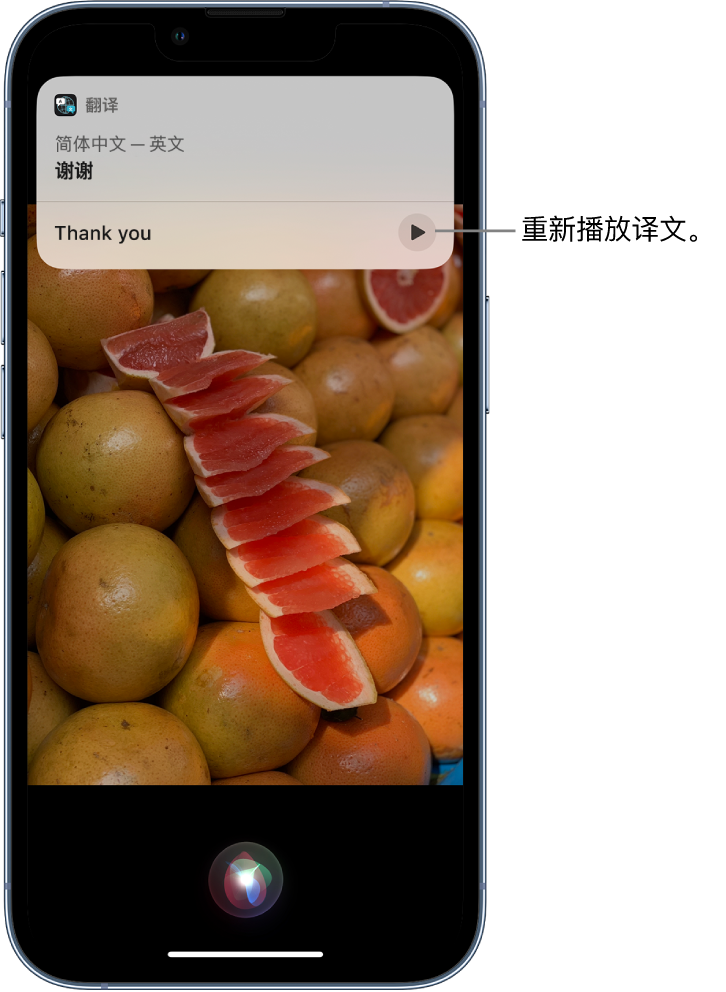 康乐苹果14维修分享 iPhone 14 机型中使用 Siri：了解 Siri 能帮你做什么 