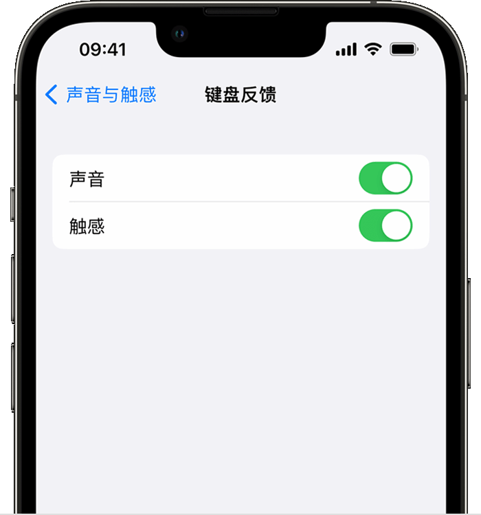 康乐苹果14维修分享iPhone 14 系列机型如何开启键盘声音或触感反馈 