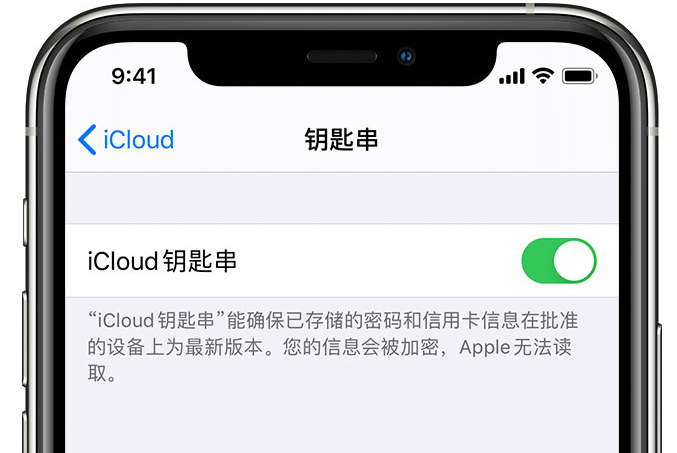 康乐苹果手机维修分享在 iPhone 上开启 iCloud 钥匙串之后会储存哪些信息 