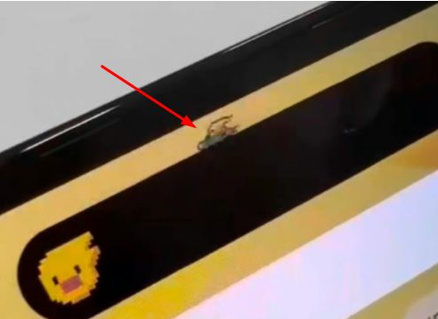 康乐苹果14维修分享iPhone 14 Pro Max灵动岛怎么养宠物 