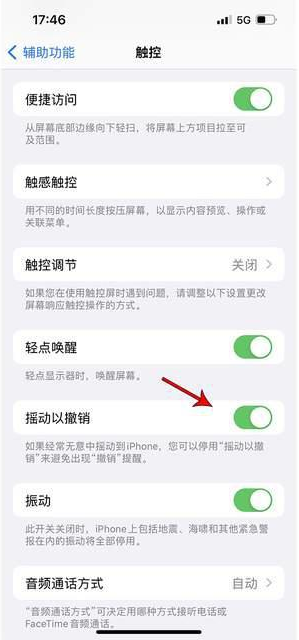 康乐苹果手机维修分享iPhone手机如何设置摇一摇删除文字 