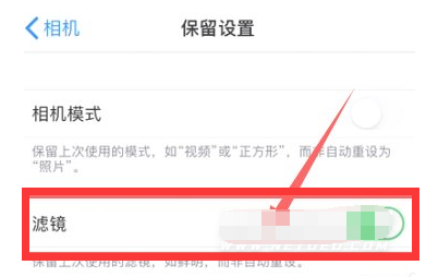 康乐苹果13维修分享iPhone13拍照有绿点是怎么回事 