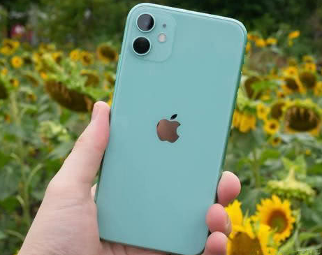 康乐苹果维修点分享iPhone 11锁屏密码认知与使用科普 